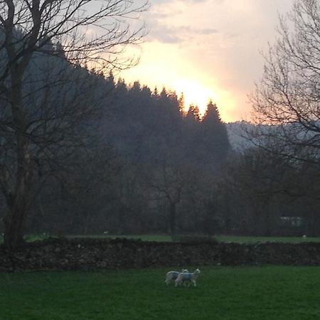 Tyddyn Bach Barn Villa Betws-y-Coed Phòng bức ảnh