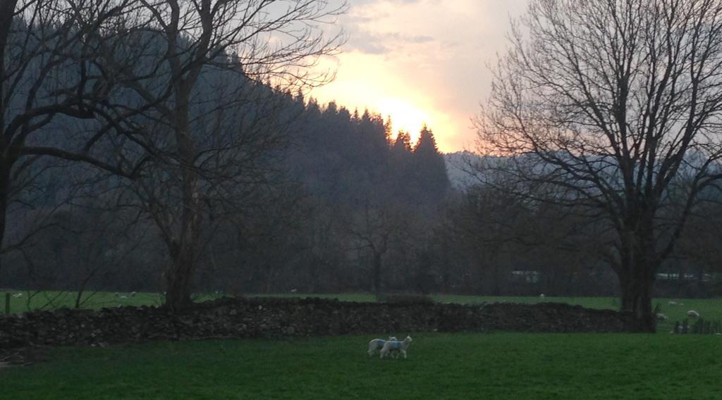 Tyddyn Bach Barn Villa Betws-y-Coed Phòng bức ảnh